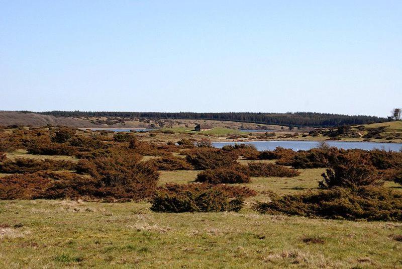 Hedelandets Camping Sevel Экстерьер фото